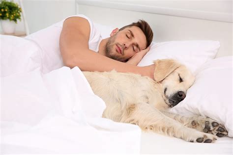 Are dogs happier sleeping with their owners?